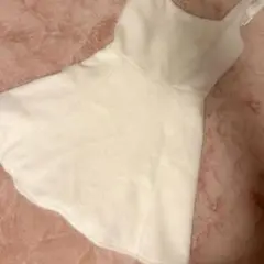 ダーリッチ♡ジャンスカ