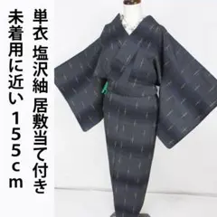 美品！夏大島紬＊本場大島紬＊居敷当て付き＊黒紫色＊希少＊着物
