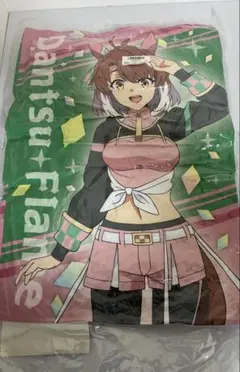 ダンツフレーム