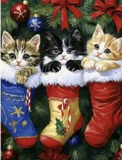 《ラウンド️⭕️》ダイヤモンドアートキット 靴下ネコ