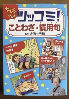 美品！ツッコミ!ことわざ・慣用句 なんでやねん!