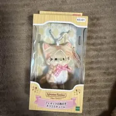 フェネックの男の子 ネココスチューム