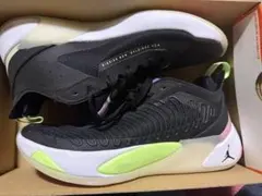 Item thumbnail for item a951d377-3783-4a30-a498-4b61cb8b2ac3