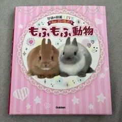 Item thumbnail for item 56431aea-9aca-4712-958c-774f1a671324