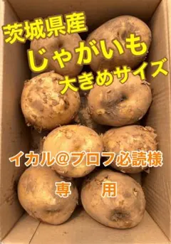 イカル@プロフ必読様専用ページ