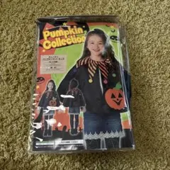 Item thumbnail for item 5ef41d10-8e8c-44f9-97b8-c064ffd35256