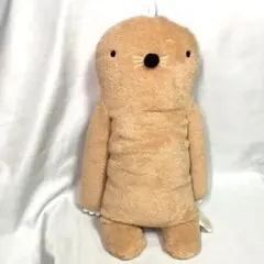 Item thumbnail for item 2ce00470-1199-4ea3-b519-f3340cccf76f