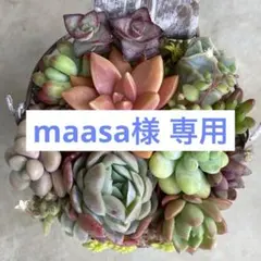 maasa様 リクエスト 5点 まとめ商品