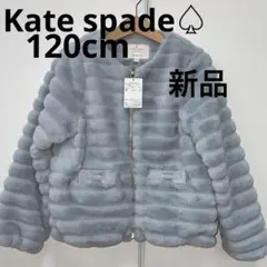 Item thumbnail for item 16bde994-d3f8-402d-8813-d68c7bf752a0