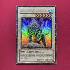 遊戯王 氷結界の虎王ドゥローレン シークレット DTC - メルカリ