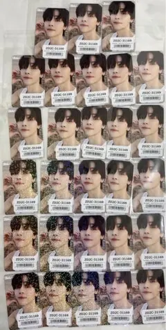 &TEAM NICHOLAS ニコラス 青嵐 トレカ28枚セット