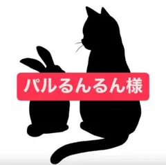 パルるんるん様専用ページ