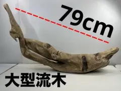 Item thumbnail for item 10db010a-d955-49a8-9011-10af346a6dd3