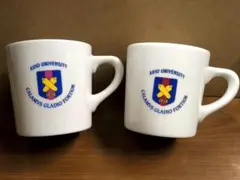 Item thumbnail for item 8e774c50-bacb-4d6f-8dcc-50c4effa4e24