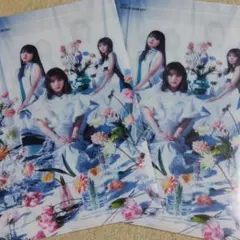 TOKYO CREATIVE SALON 2021 乃木坂46のクリアファイル