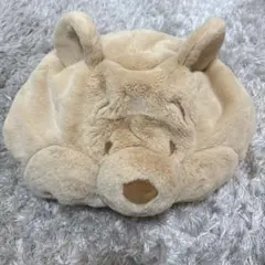 ディズニーランド・シー　くまのぷーさん　ファンキャップ