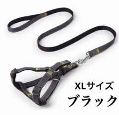 Item thumbnail for item 9a27af45-6d39-4d84-a9da-9c21f4ad6673