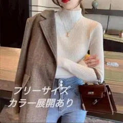 ☆新品未使用☆ハイネック リブニットセーター【カラー展開あり】