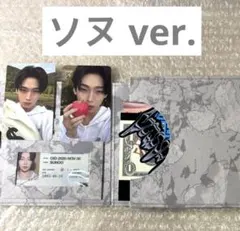 ENHYPEN THE SIN : VANISH FUGITIVES ソヌ