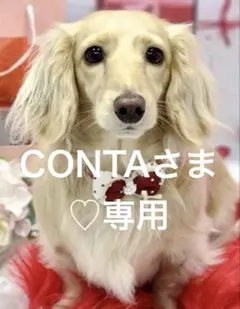 CONTAさま♡専用