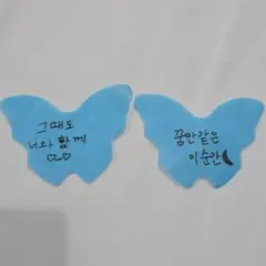 SEVENTEEN dxs ソウルコン　落下物　蝶　ドギョム　スングァン⑩