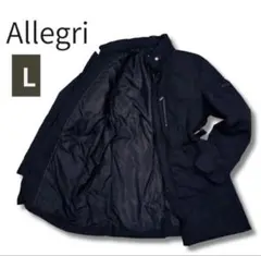 Item thumbnail for item 68932d0a-ffd2-4b76-afbd-f02a2d3ec34a