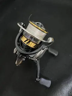 DAIWA レガリスLT3000-S-C-DHのサムネイル