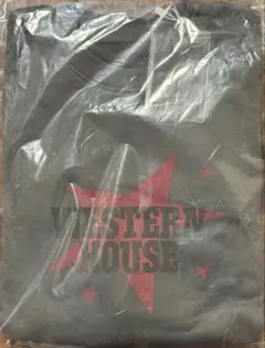 Item thumbnail for item 7bdf7037-9e2a-4241-ab7d-61bf41e7a973