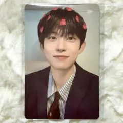 ALD1 ゴヌ ポップアップ 7万ウォン購入特典 トレカ MD