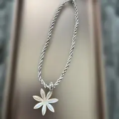 Item thumbnail for item 345d81d2-f102-40b9-be83-cc9f0b9a32c5