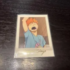 ハイキュー ぱしゃこれ PREMIUM 日向翔陽