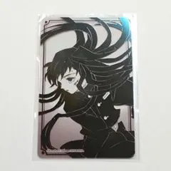 syugosinnnn様 リクエスト 2点 まとめ商品