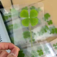 Item thumbnail for item 89e58f35-caf8-4bd6-bb46-8286bdc01c94