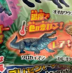 ジャングル＆co　クロカイマン