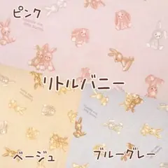 Item thumbnail for item a783569a-02be-4d77-bd6a-1666622d6347