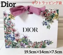 Dior ① ギフト袋 19.5cm✕14cm✕7.5cm