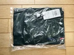 【新品未使用未開封】SPEEDO×BEAMS コラボ　DTカラー　Sサイズ