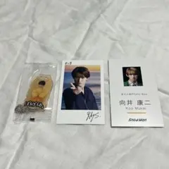 SnowMan 向井康二 お守りキーホルダー チェキ風カード　名刺カードRAYS