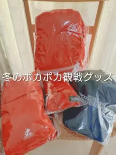 コベルコ神戸スティーラーズ観戦グッズ