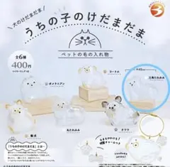 うちの子のけだまだま　三角たれみみ