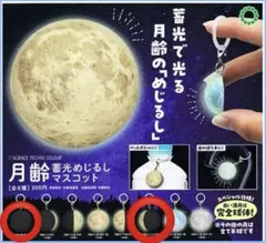 Item thumbnail for item 9dfba062-0a5f-4383-a190-5f0ff67a6369