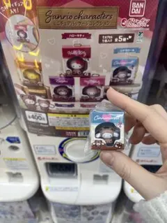サンリオ ミニチュア パッケージ コレクション チャーム キーホルダー シナモン