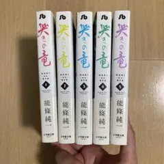 恋文 私達が愛した男 VHS 全5巻セット レンタル版 - メルカリ