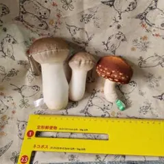 Item thumbnail for item 74c801f9-9887-4165-b666-da21af70aadd