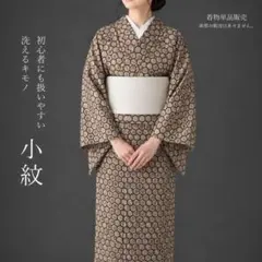 単衣 洗える着物 裄65 身丈148 帯セット スモールサイズ た45 - メルカリ