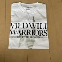 Item thumbnail for item e4991dd8-7097-41b1-a036-8d33612c84b3