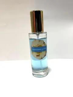 2025年最新】エンドレスラブ ヴィクトリアシークレットの人気アイテム