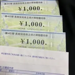 ビックカメラ　株主優待券