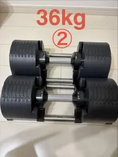 送料込】ライシン 32kg 1kg刻み 可変式ダンベル NO.1 - メルカリ