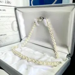 Item thumbnail for item 1f41ef79-06f3-48b9-bf74-eed393bbc84f